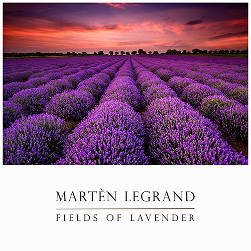 Fields Of Lavender (Digital Sheet Music)